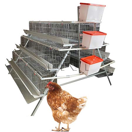 battery cage for layers